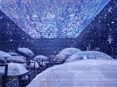 -M-MIX电音烤吧