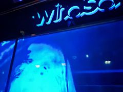 -温莎KTV(国贸店)