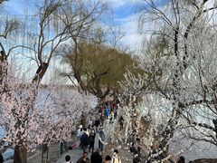 -颐和园