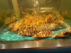 -海天盛宴海鲜自助(正大广场店)