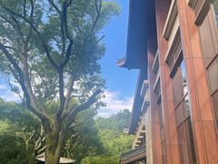 -杭州花家山庄