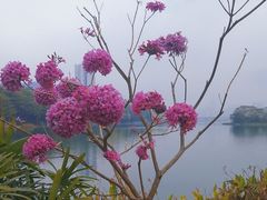 -南宁南湖公园