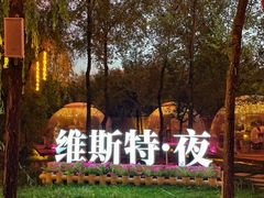 -维斯特·夜烤牛肋条任吃