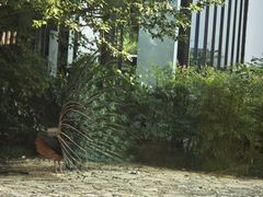 -苏州环秀晓筑养生度假村