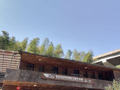 -仙霞关景区