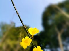 -美兰湖景区