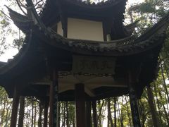 -溪口-滕头旅游景区