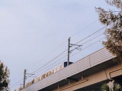 -宝安西湾红树林湿地公园