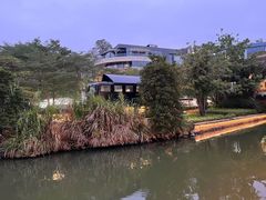 -陈鹏鹏潮汕菜(欢乐海岸 海边景观店)
