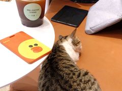 -MQ COFFEE STAND明谦(新洲店)