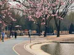 -太阳宫公园