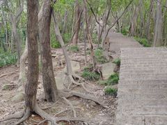 -紫金山山顶公园