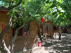 -香木香羊(小汤山店)