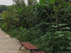 -三圣花乡旅游区