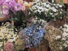 -蝶舍·MAISON PAPILLON