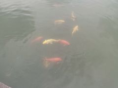 -西南政法大学(渝北校区)