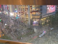 -小大董·烤鸭(观景餐厅·南京西路店)