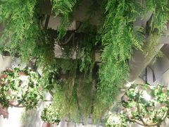 -红牌美蛙鱼头火锅(万辉国际广场店)