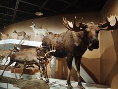 -陕西自然博物馆