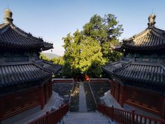 -香山公园