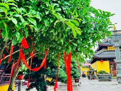 -西林禅寺