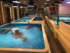 -日进一片海.生腌海鲜火锅.宵夜烧烤(三里屯总店)