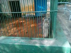 -广东茂名森林公园