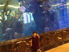 -碧桂园凤凰城酒店(南京店)