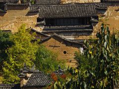 -杨家堂村