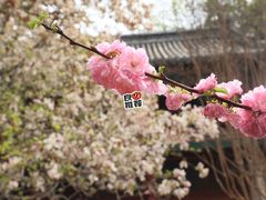 -潭柘寺景区
