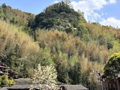 -林坑古村落