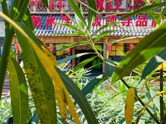 门面-郑件洋芋饭庄