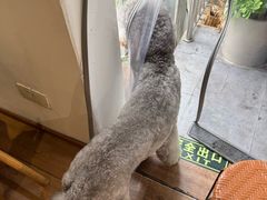 -沏点Trattoria意大利餐厅(新街口店)
