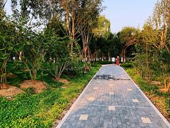 -回龙观体育文化公园