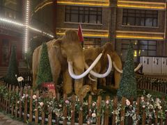 -中华巴洛克风情街