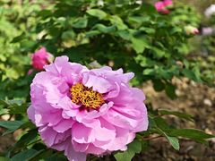 -江南大学(蠡湖校区)