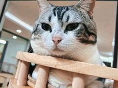 -三亚亚龙湾人间天堂鸟巢度假村