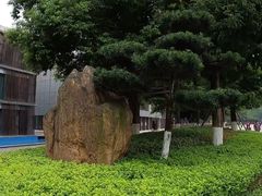 -龙头寺公园