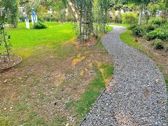 -深圳仙湖植物园