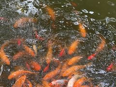 -潮州西湖