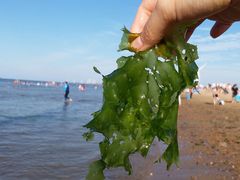 -那香海钻石沙滩浴场