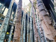 -Metal hands·铁手咖啡