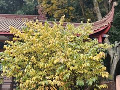-都江堰普照寺