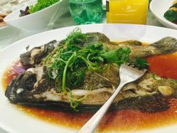 -上海虹桥锦江大酒店·宴会厅