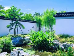 -上海滨江森林公园