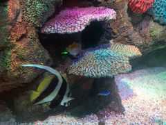 -沈阳海洋探索中心