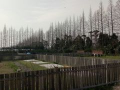 -前小桔亲子创意农场·草莓采摘·露营烧烤