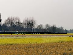 -中国天府农业博览园