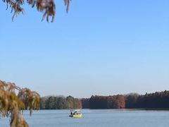 -上海海湾国家森林公园