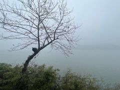 -天目湖涵田度假村